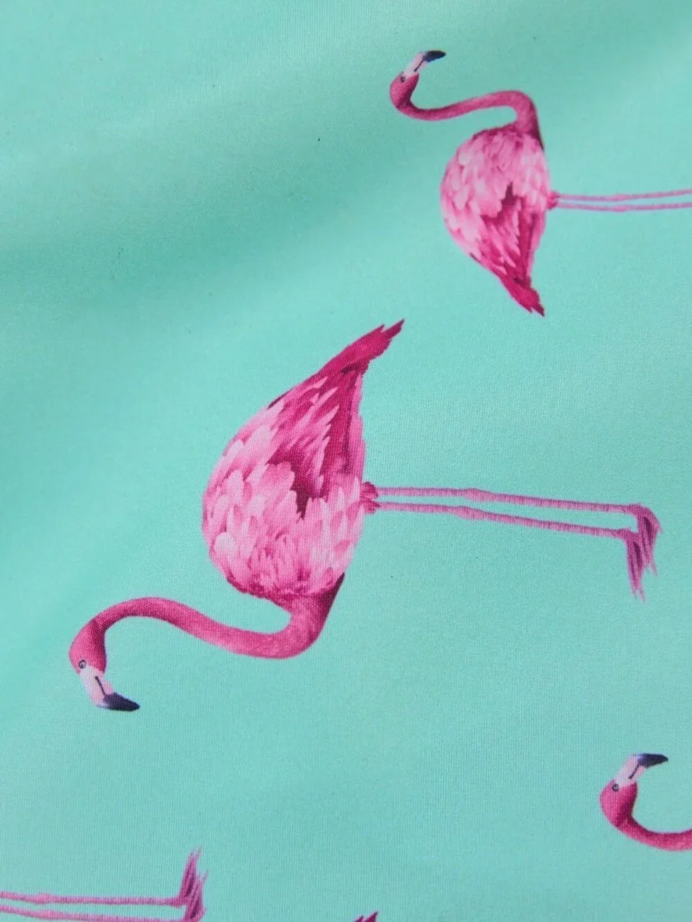 mint Green Casual Men's Swim Trunks Drawstring Stretch Flamingo Print